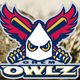 Image for article titled Utah Minor League Team Cancels Planned "Caucasian Heritage Night"